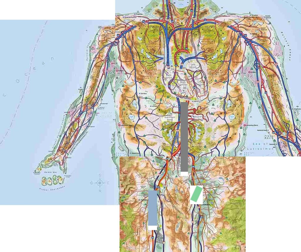 Dieses Bild hat ein leeres Alt-Attribut. Der Dateiname ist Schnittfuehrung-komplett-1024x859.jpg
